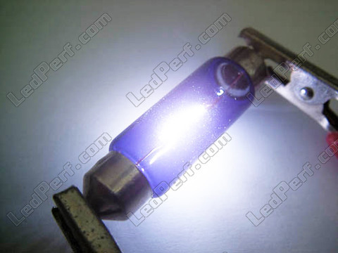 Ampoule 37mm C5W Halogene Blue vision Xenon effect (5W)