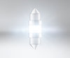 Beleuchtung Osram Ledriving SL 31mm C3W LED Pendelleuchte - Weiß 6000K - 6438DWP-01B
