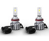 Paar H11 LED Birnen Osram LEDriving HL Bright - 64211DWBRT-2HFB