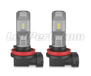 Paar H11 Osram LEDriving Standard LED-Lampen für Nebelscheinwerfer - 67219CW