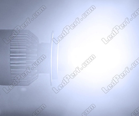 LED-SET H15 für Auto