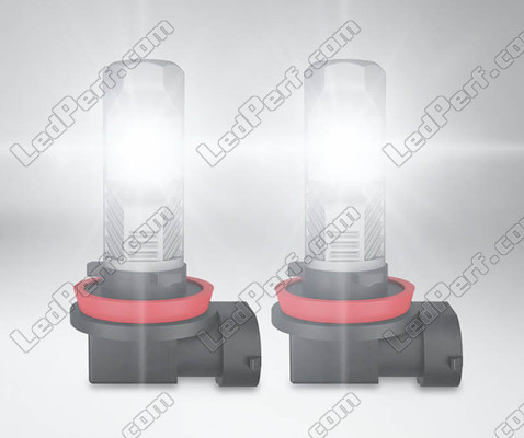 H16 Osram LEDriving Standard LED Birnen für Nebelscheinwerfer im Einsatz