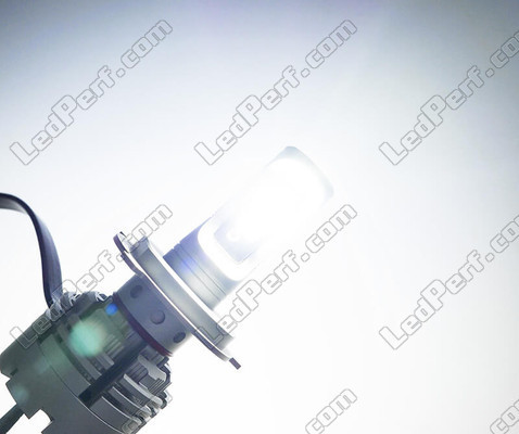 Lampe H4 LED 24V für LKW-Beleuchtung Weiß