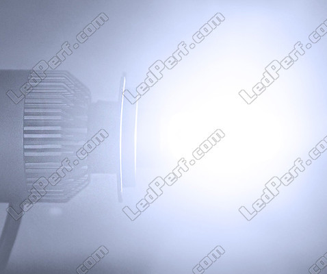 Ampoule LED COB H8 Moto