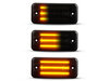 Beleuchtung der dynamischen LED-Seitenblinker in schwarz für Fiat Ducato III