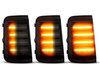 Dynamische LED-Blinker für Fiat Ducato III Außenspiegel