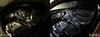 Led Fahrzeuginnenraum Ford Focus MK2