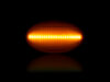 Maximale Beleuchtung der dynamischen LED-Seitenblinker für Mercedes Viano (W639)