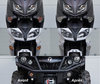 Led Frontblinker Harley-Davidson Custom  1200  (2000 - 2010) vor und nach