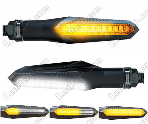 2-in-1 Dynamische LED-Blinker mit integriertem Tagfahrlicht für Harley-Davidson Rocker C 1584