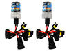 Led Ampoules Xenon HID Audi A3 8L Tuning