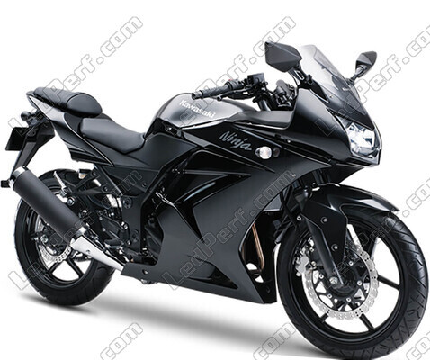 Motorrad Kawasaki Ninja 250 R (2008 - 2012)