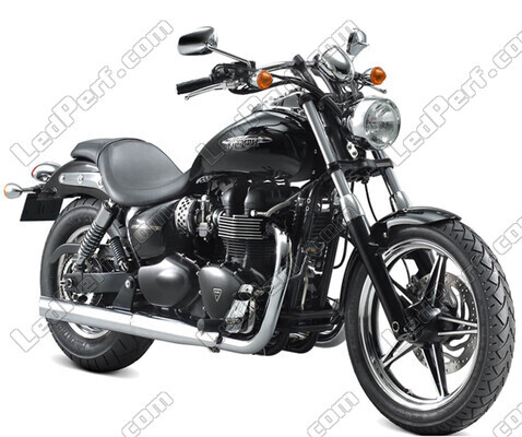 Motorrad Triumph Speedmaster 865 (2002 - 2015)