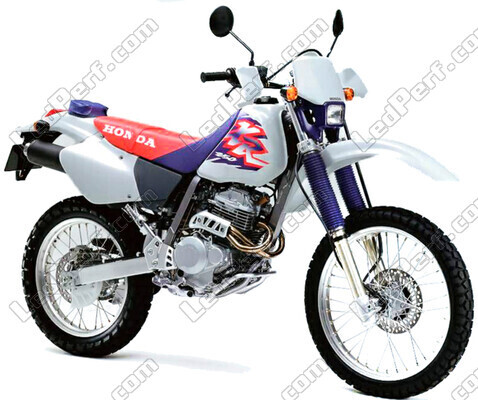 Motorrad Honda XR 250 (1996 - 2004)