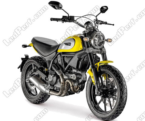 Motorrad Ducati Scrambler Icon (2015 - 2019)