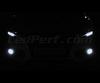 Pack ampoules antibrouillards Xenon effect pour Audi Q3