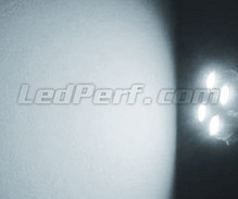 Standlicht-LED-Pack (Xenon-Weiß) für Alfa Romeo GTV 916