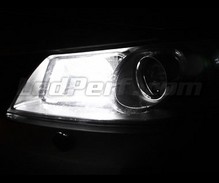 Standlicht-LED-Pack (Xenon-Weiß) für Renault Megane 2