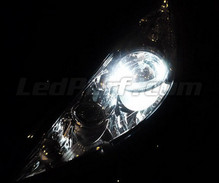 Standlicht-LED-Pack (Xenon-Weiß) für Peugeot 207