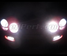 Scheinwerferlampen-Pack mit Xenon-Effekt für Toyota Celica AT200