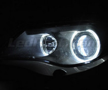 Pack Angel-Eyes mit LEDs für BMW Serie 6 (E63 E64) Phase 1 - Mit Original-Xenon - MTEC V3