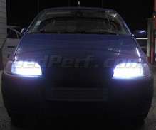 Pack ampoules de phares Xenon Effect pour Fiat Punto MK1