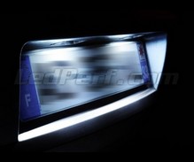 Pack éclairage de plaque à leds (blanc xenon) pour Renault Clio 3
