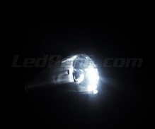 Standlicht-LED-Pack (Xenon-Weiß) für Fiat Grande Punto / Punto Evo