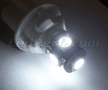 Standlicht-LED-Pack (Xenon-Weiß) für Volkswagen Passat B7