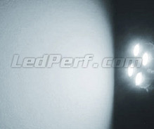 Standlicht-LED-Pack (Xenon-Weiß) für Jaguar XJ8