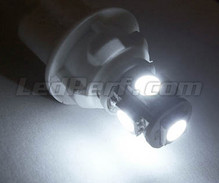 Standlicht-LED-Pack (Xenon-Weiß) für Chevrolet Corvette C6