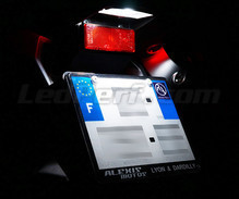 LED-Kennzeichenbeleuchtungs-Pack (Xenon-Weiß) für Honda CB 1300 F