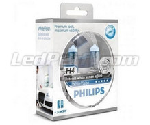 Pack de 2 Ampoules H4 Philips WhiteVision + 2 W5W WhiteVision (Nouveau !)
