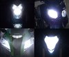 Scheinwerferlampen-Pack mit Xenon-Effekt für KTM EXC 450  (2014 - 2016)