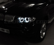 Pack angel eyes à leds pour BMW X5 E53 - Standard