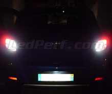 LED-Pack (reines Weiß 6000K) für Rückfahrleuchten des Dacia Sandero 2