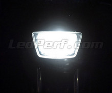 Scheinwerferlampen-Pack mit Xenon-Effekt für Suzuki Bandit 600