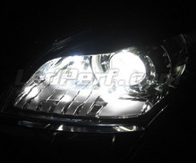 Standlicht-LED-Pack (Xenon-Weiß) für Renault Avantime