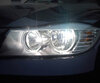Scheinwerferlampen-Pack mit Xenon-Effekt für BMW Serie 3 (E90 E91)