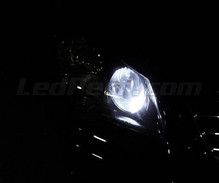 Standlicht-LED-Pack (Xenon-Weiß) für Volkswagen Polo 9N3