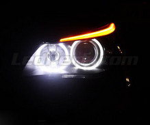 Pack angel eyes Leds BMW Serie 5 E60 E61 Ph 2 (LCI) - Avec xenon d'origine - MTEC V3.0
