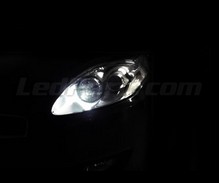 Standlicht-LED-Pack (Xenon-Weiß) für Fiat Bravo 2