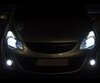 Pack ampoules de phares Xenon Effects pour Opel Corsa D