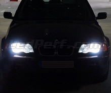 Pack ampoules de phares Xenon Effects pour BMW Serie 3 (E46)
