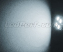 Standlicht-LED-Pack (Xenon-Weiß) für Suzuki Grand Vitara