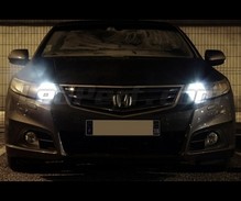 Standlicht-LED-Pack (Xenon-Weiß) für Honda Accord 8G