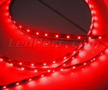 Flexibles 24-V-Band mit 50 cm ( 30 LEDs SMD) rot