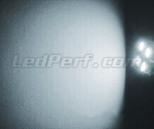 Standlicht-LED-Pack (Xenon-Weiß) für Volvo C70