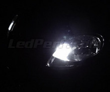 Standlicht-LED-Pack (Xenon-Weiß) für Renault Trafic 2