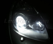 Standlicht-LED-Pack (Xenon-Weiß) für Renault Clio 2
